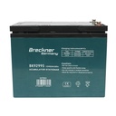Baterie VRLA cu gel pentru bicicleta electrica 12V 65Ah 20HR 224x150x175mm