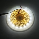 Banda LED 2835 4.8W/m 6000K, 12-220V rola 5m, 60 LED/m IP20