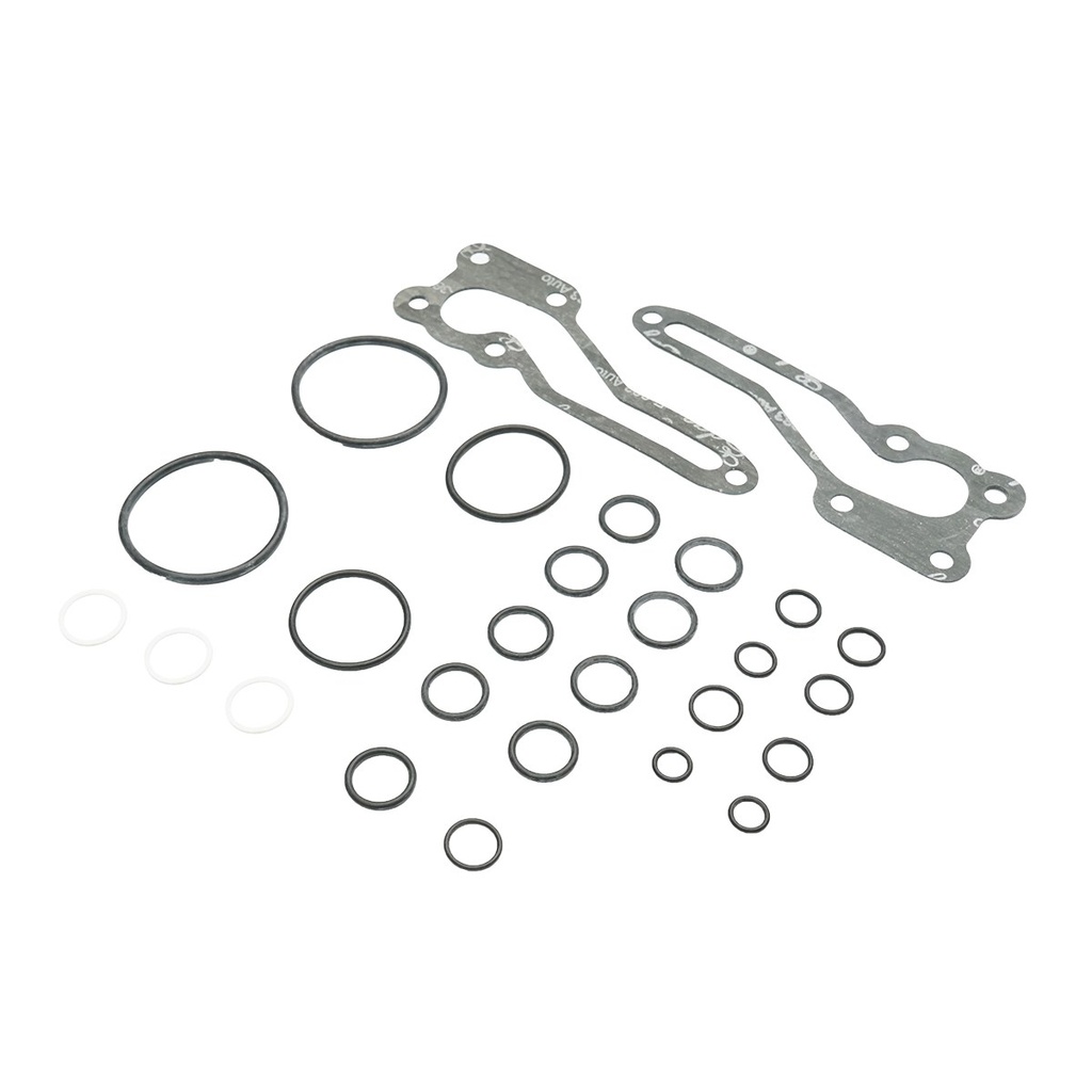 Set garnituri pompa hidraulica Massey Ferguson cod OEM 1810684M92