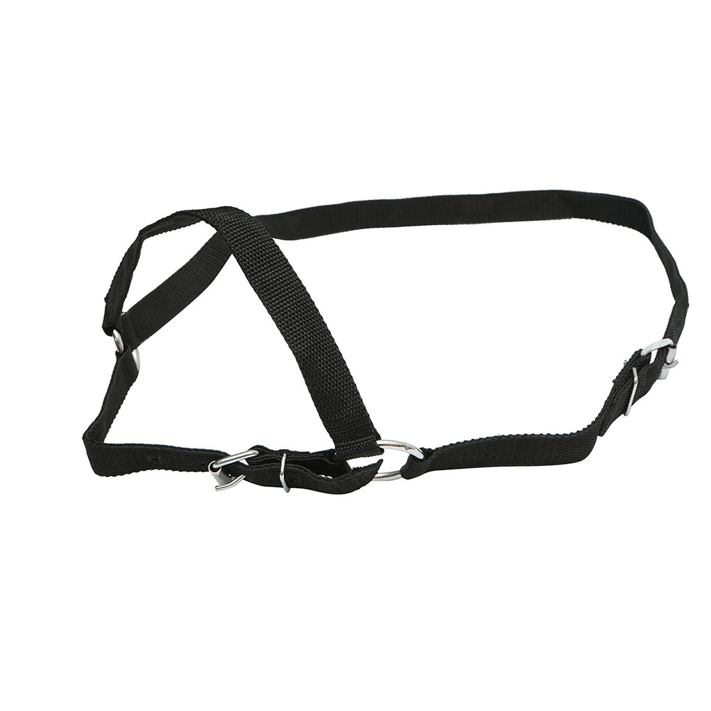 [AMAT6-120664] Capastru vaci nylon 25mm