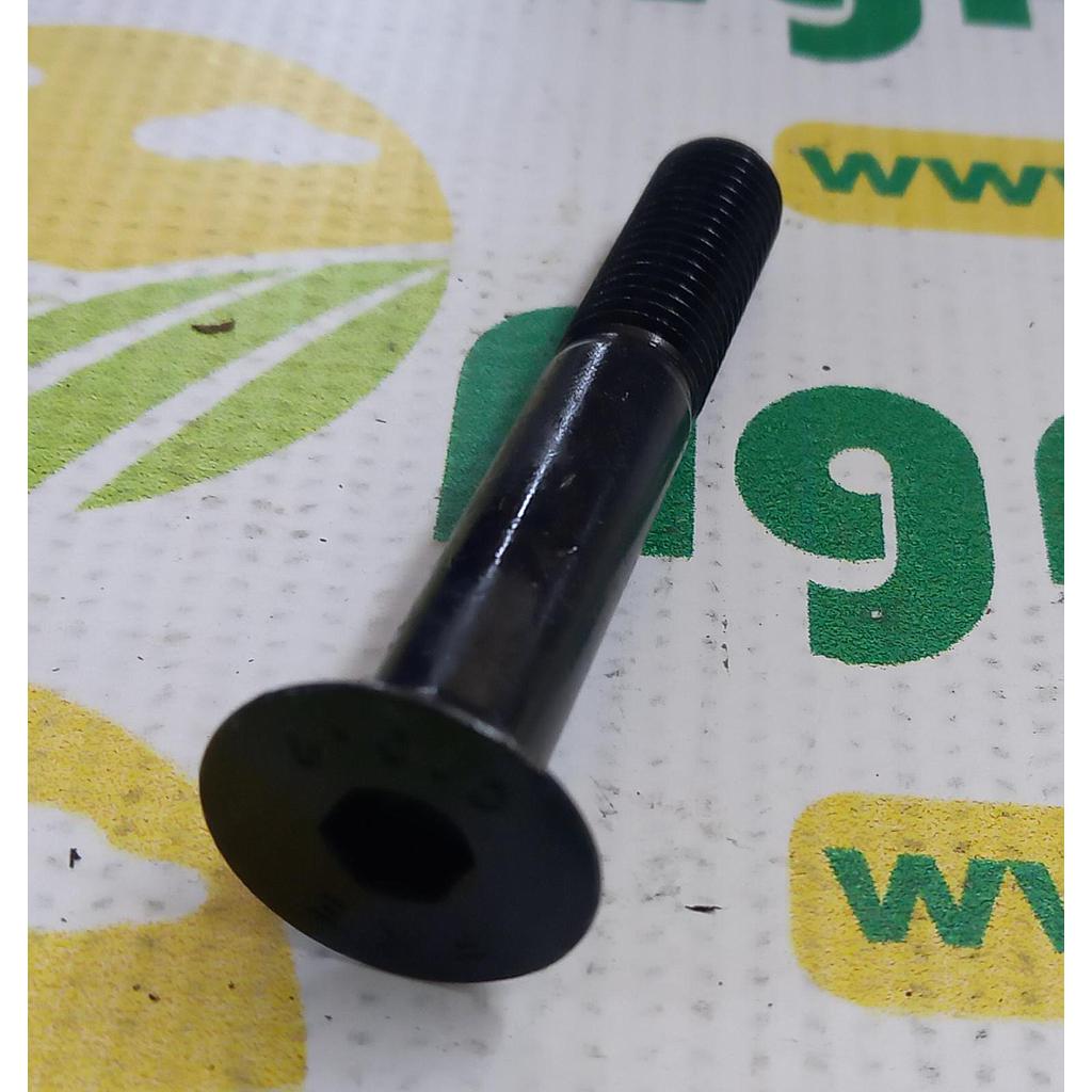 Surub cap Inecat cu Imbus 12x80mm