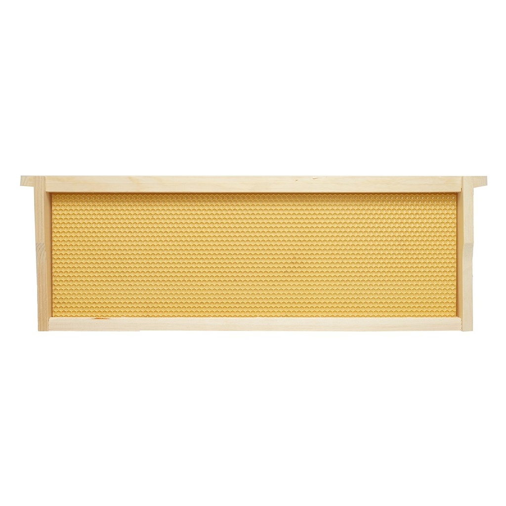 Rama stup din lemn cu fagure din plastic tip Dadant 483x448x159mm