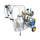 Aparat de muls vaci 1 post 750W, 220V bidon inox 25L, grup de muls cu 4 mansoane, presiune vid 40-50 kPa, pulsatii 60-80 cpm