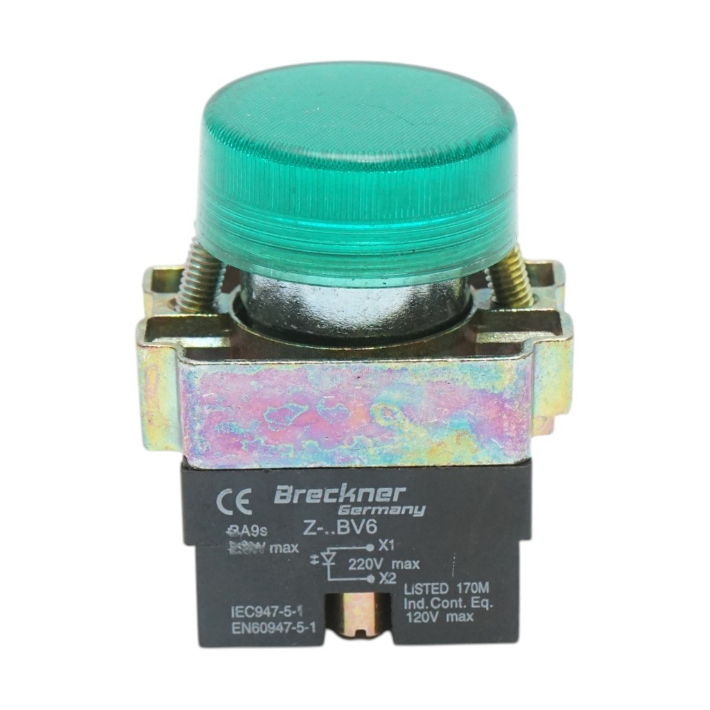 Buton indicator LED verde 220V LAY5
