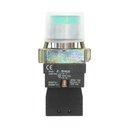 Lampa semnalizare cu alimentare directa verde si protectie 1NO, 220V, IP65, LAY5