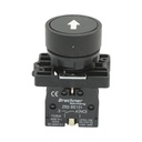 Buton comanda cu revenire negru 1NO, 400V/10A LAY5