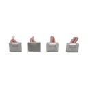 Set perii electromotor RABA cu reductor LT 24V 8.1 kW 150Ah BK99660