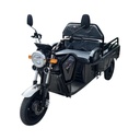 Triciclu electric MODEL E GRI 1600W 60V 20AH
