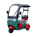 Triciclu electric Thor ELEGANCE 1000W 60V20Ah