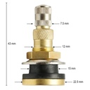 Valva agricola roata tubeless alama 43mm TR618C