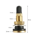 Valva agricola roata tubeless alama 45mm TR618B