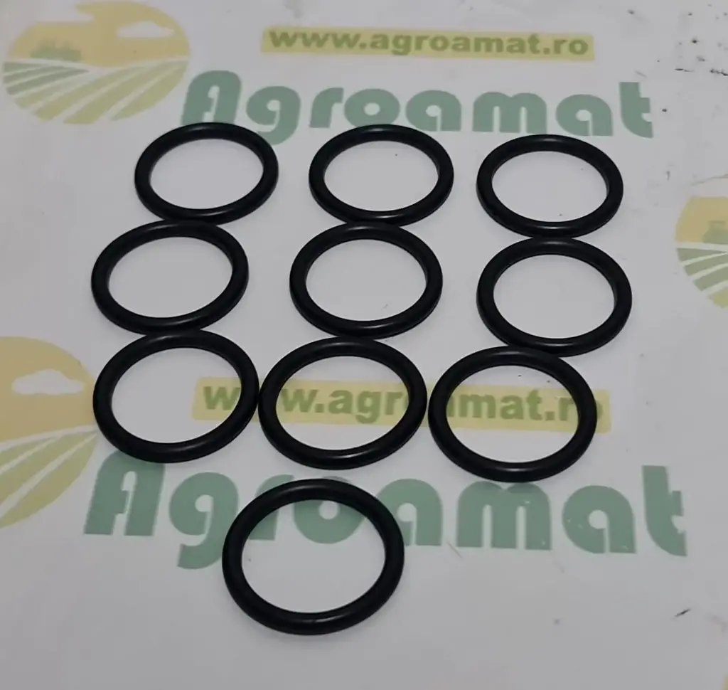 [AMAT1-83055] O-Ring 29x4 10 buc