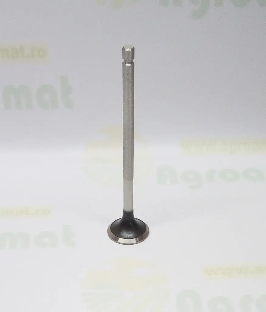 [AMAT1-83154] Supapa Evacuare 