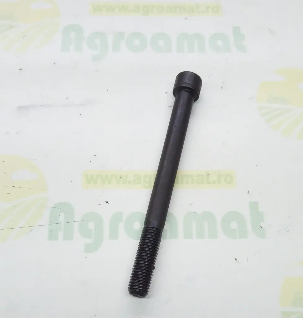 [AMAT1-93023] Surub 19M8119