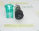 Bricheta AL173370
