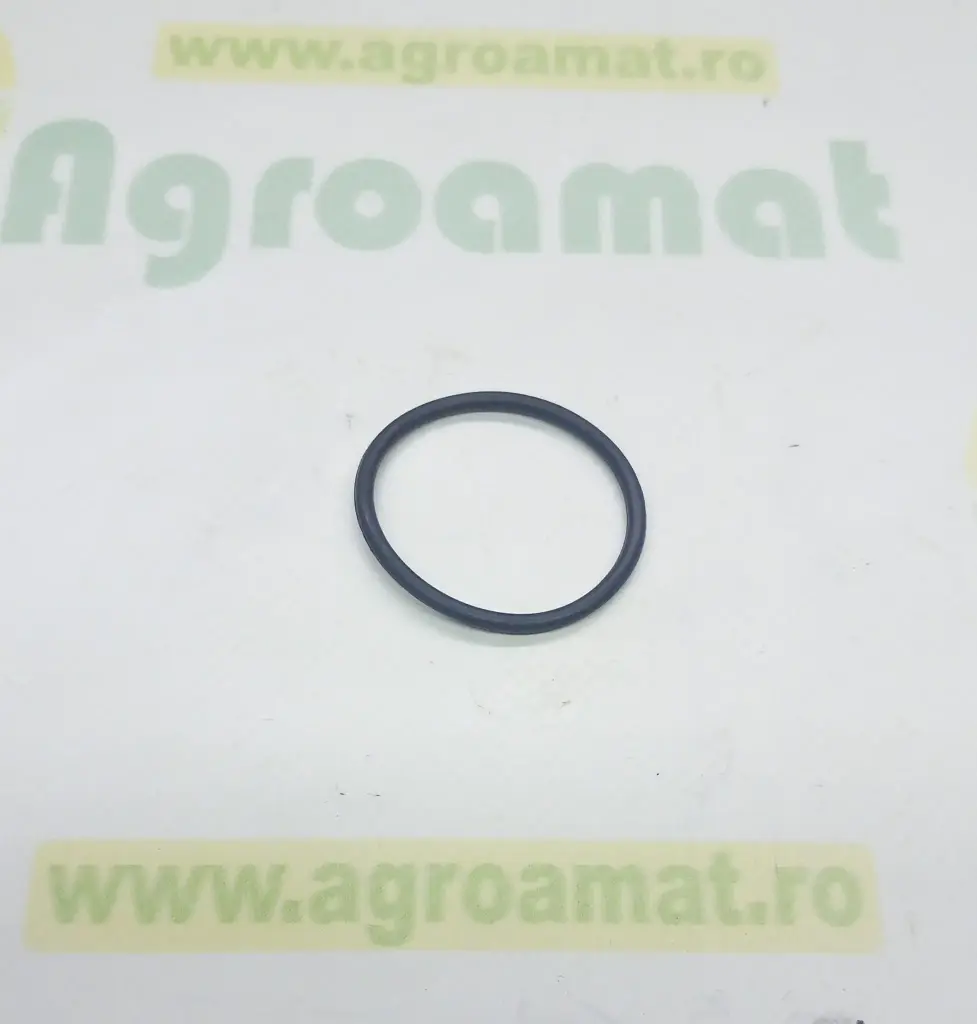 [AMAT1-93178] Inel etansare R123273