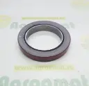 Simering AR31882, AR49025