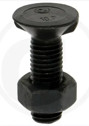 Surub de Plug 
