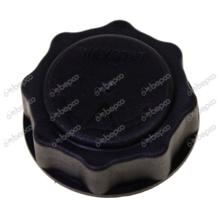 EXPANSION TANK CAP 