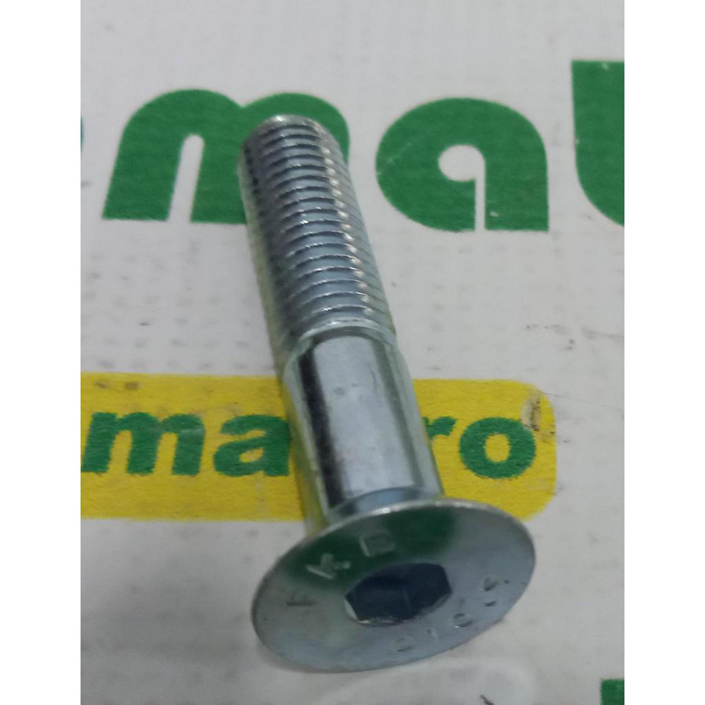 Surub Cap Inecat Orificiu Hexagonal M12x60mm