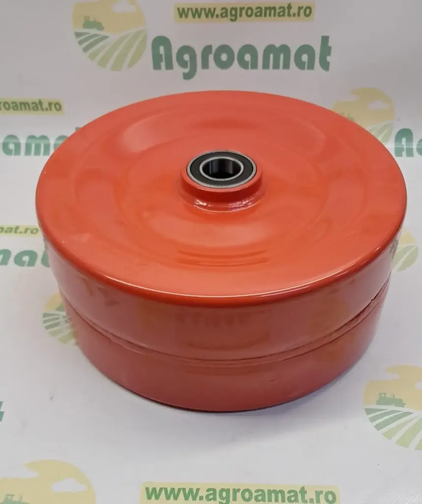 ROATA DE ADANCIME 250X100  G13643510R
