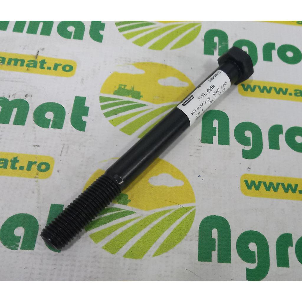 Surub F01020291R