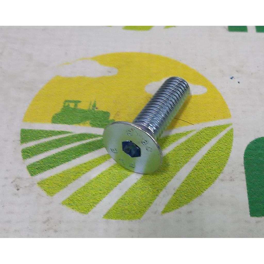 Surub Cap Inecat Imbus M10x35