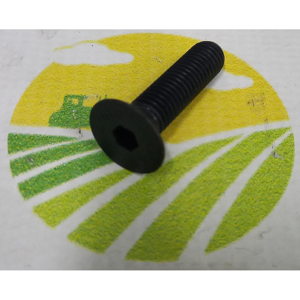 Surub Cap Inecat Imbus M10x40