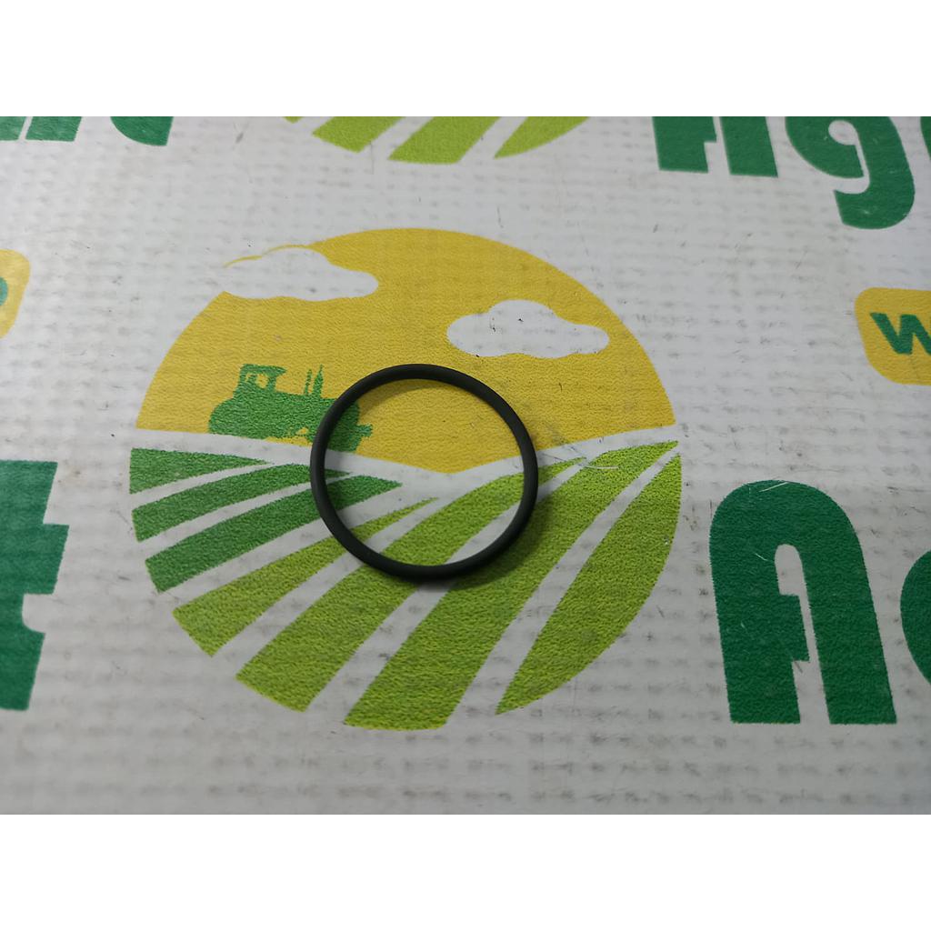 O-Ring 14453981
