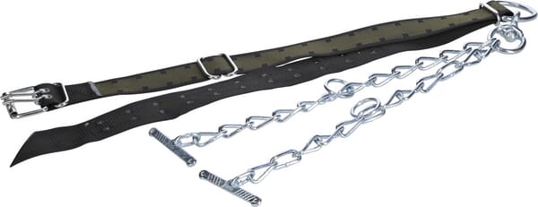Curea de gât pentru tauri 170x7cm cu lanț dublu și carabină