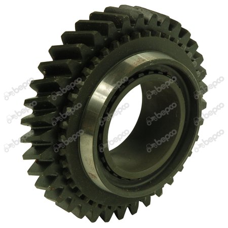 GEAR, DRIVEN 