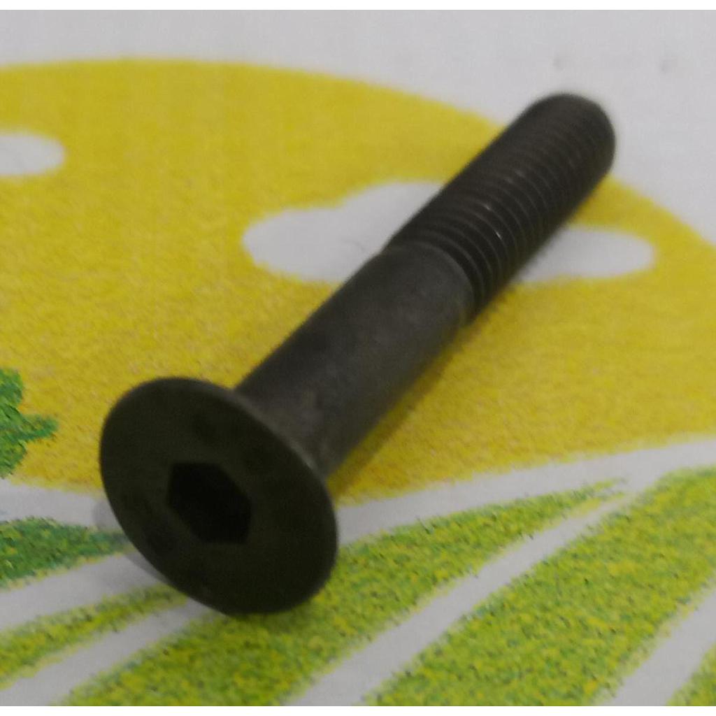 Surub CapInecat Orificiu Hexagonal M6x40mm