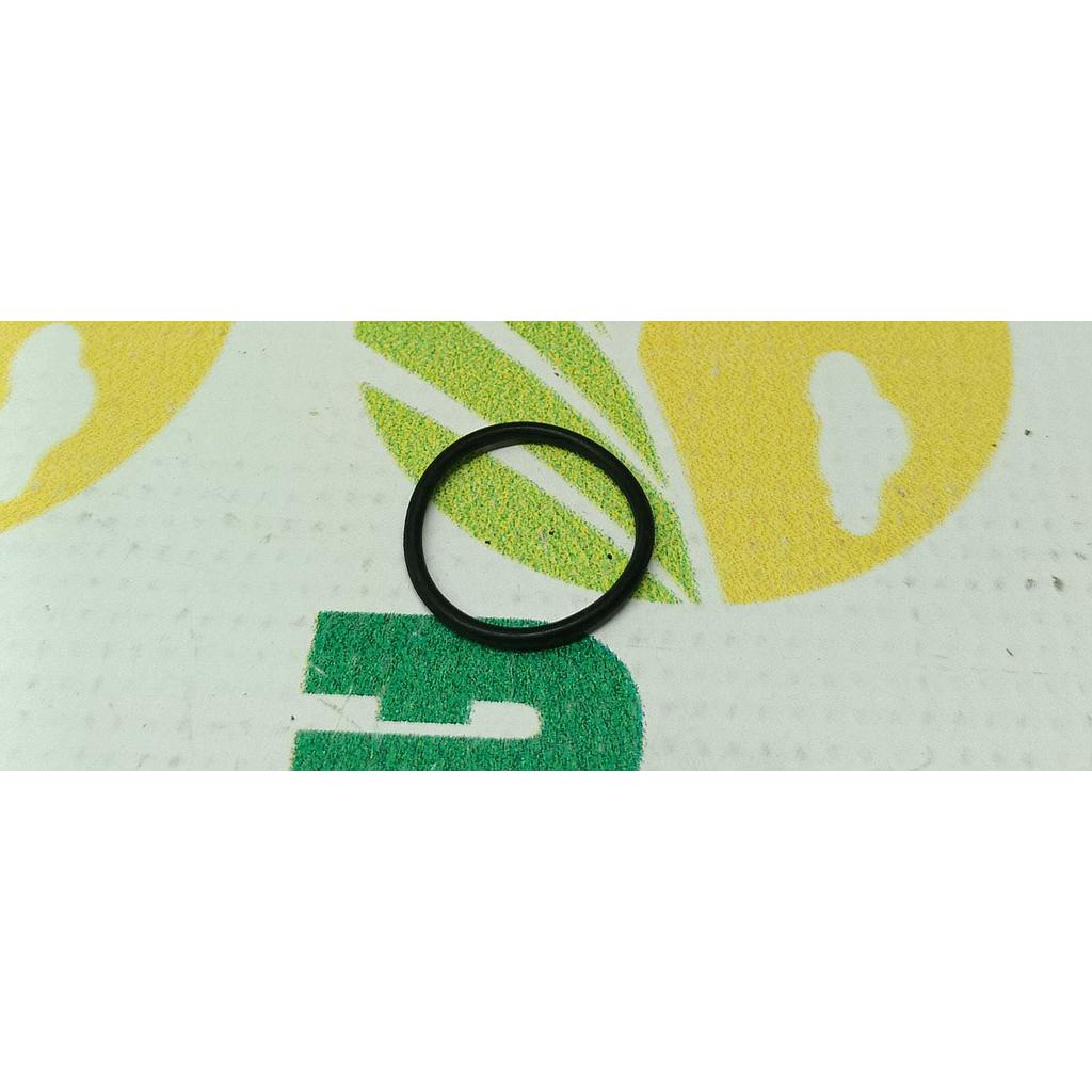 O-Ring 2.1539.048.0