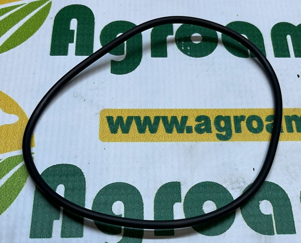 O-Ring
