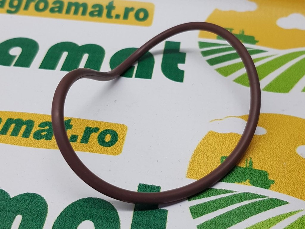 O-ring