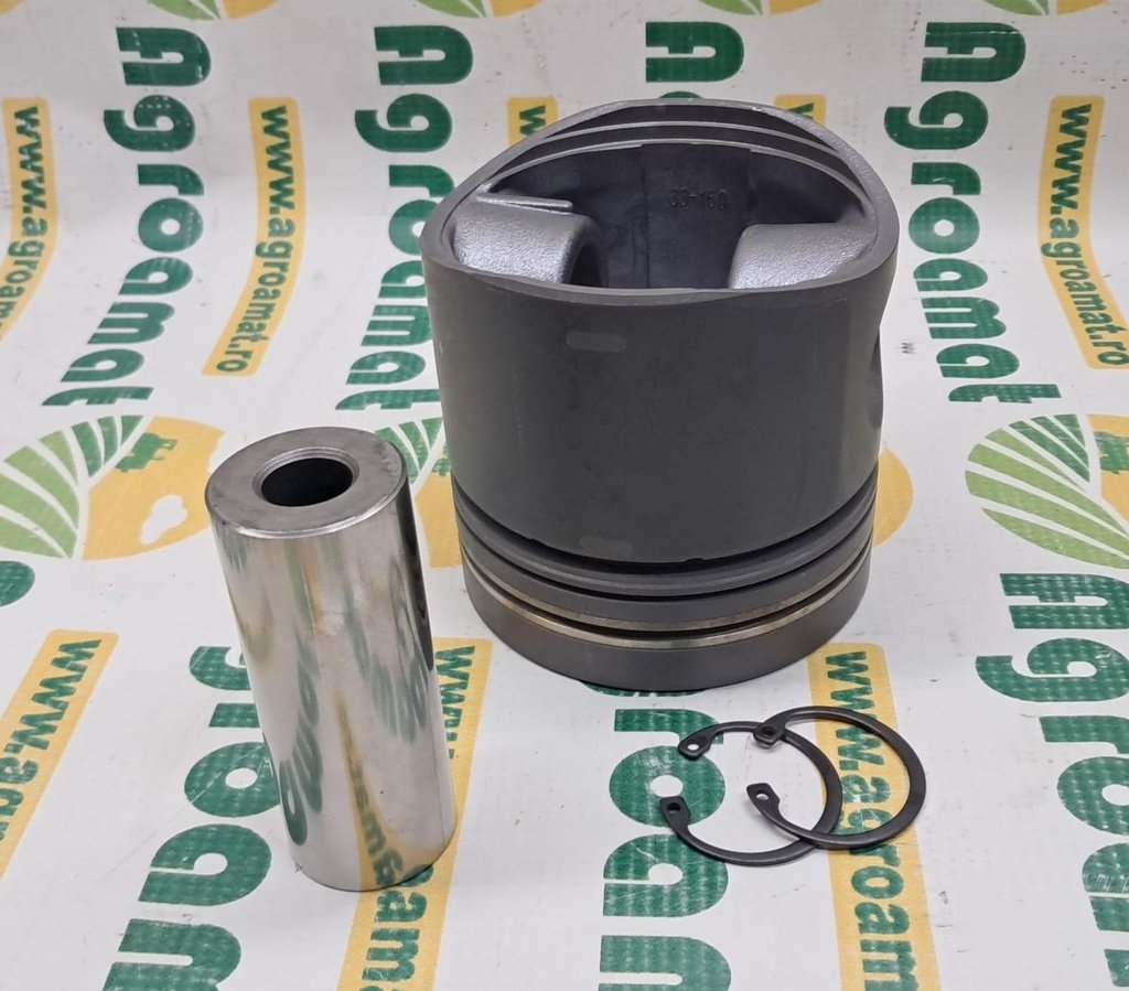 Piston F199204310010