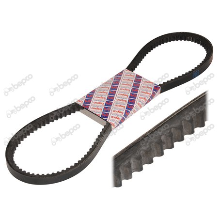 V-BELT 10 x 1500 La