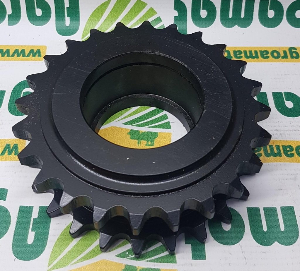 Pinion Lant Dublu Z-24 , Z12489
