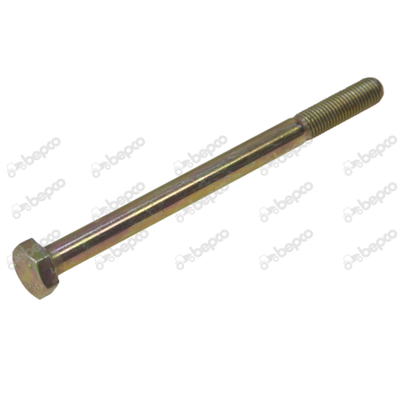SCREW 10X1,25X135