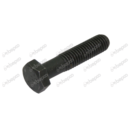 SCREW 
