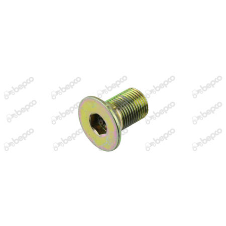 PISTON BOLT 