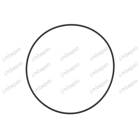 O-RING 202.79 X 3.53 MM