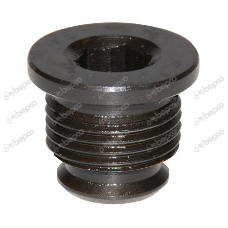 DRAIN SCREW 