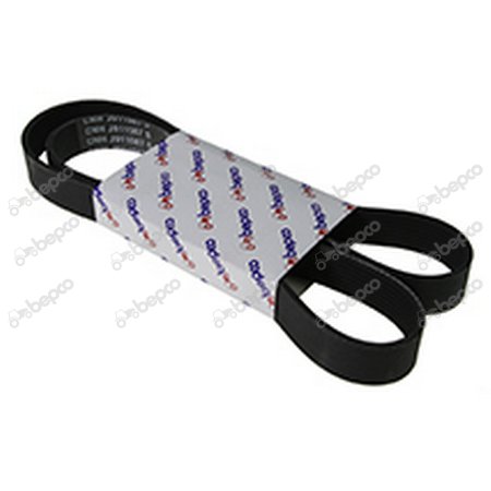 RIBBED BELT 8 PK x 1365