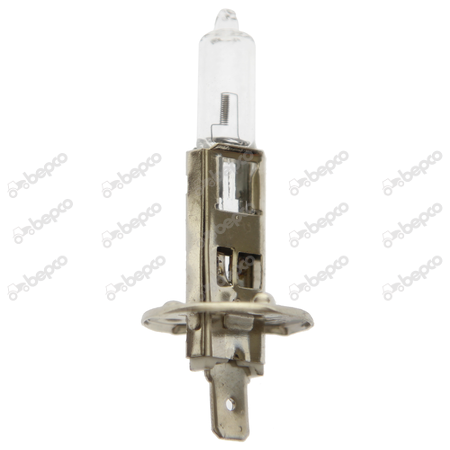 HALOGEN BULB 12V - 55W - P14.5S - H1