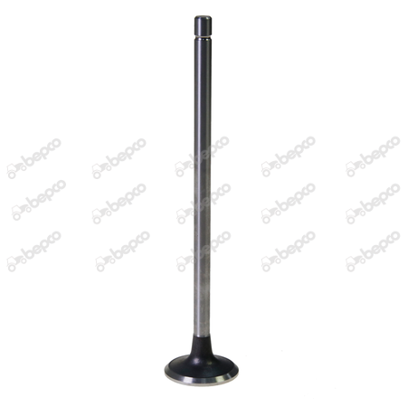  Ø 36.00 x 8.00 mm - L 171.00 mm - 45