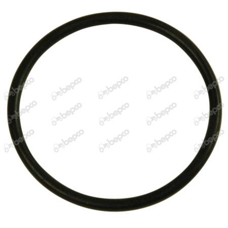 O RING 
