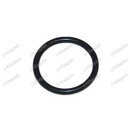 O-RING 3,53X29,74