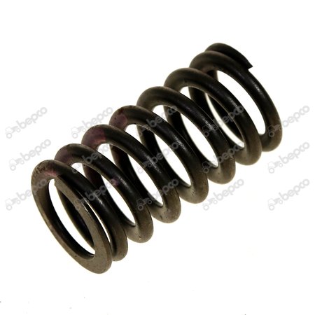 VALVE SPRING 