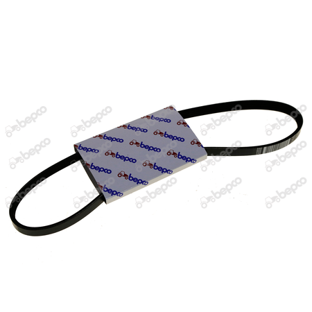 RIBBED BELT 